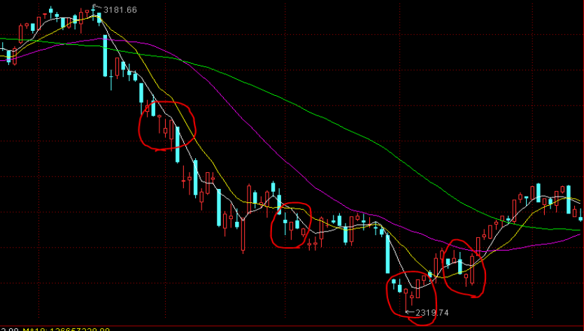 甘肃围绕5个“点”推进专项行动走深走实